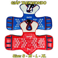 Giáp Taekwondo, Giáp Thân võ thuật Taekwondo 2 mặt xanh đỏ có 4 size, Mặt Da mới bóng đẹp và sạch