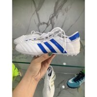 Giày 3 sọc chính hãng