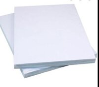 Giấy A0 mỏng ĐL80 (84x120,cây 50 tờ) (HĐ 8%)