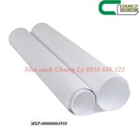Giấy A2/tờ