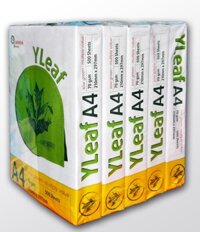 Giấy A4 An Hòa ĐL 70mgs