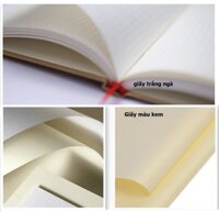 Giấy A4 Ford Nhật 80gsm màu trắng ngà xấp 250 tờ A4