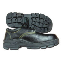 Giày ABC chỉ vàng