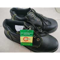 GIÀY ABC CHỈ VÀNG