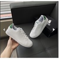 Giày Adidas Advantage White/Green ** [ EF0213 ]