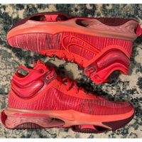 Giày Adidas Nike Air Zoom GT Jump 2 Light Fusion Red DJ9431 602