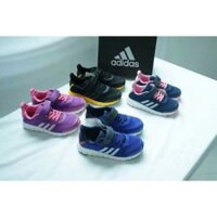 Giày adidas xuất xịn BT,BG