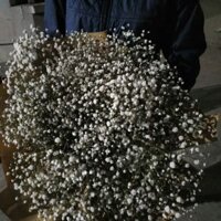 Giấy bìa cứng làm hộp