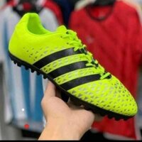 Giày Bóng Đá Ace 16.3 Loại 1 ( đã khâu full đế.)