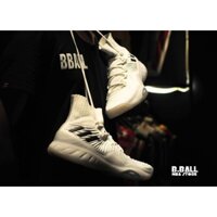 Giầy bóng rổ Adidas Crazy Explosive 2017