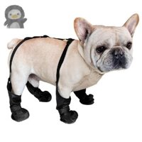 Giày bốt đi bộ ngoài trời cho chó Giày chống trượt cho mưa tuyết|Boot đi bộ đường dài