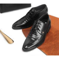 Giày buộc dây SDROLUN nhập khẩu full box