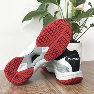 Giày cầu lông Kumpoo KH-E23