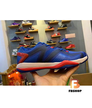 Giày cầu lông LiNing AYZP007