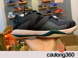 Giày cầu lông LiNing AYZP007