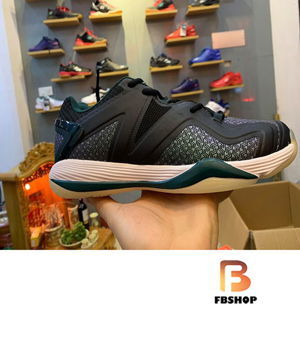 Giày cầu lông LiNing AYZP007