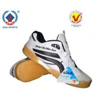 GIÀY CẦU LÔNG Nam Nữ ASIA CHÍNH HÃNG Giày Bóng Chuyền, Giày Thể Thao Đa Năng
