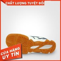 Giày cầu lông nam Promax 19001