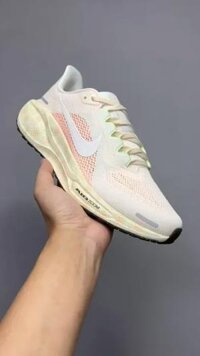 Giày Chạy Bộ , GYM - Thời Trang Nữ - Nike Air Zoom Pegasus 41 Sail Crimson Tint HM5539-133