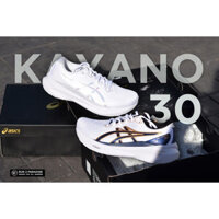 Giày chạy bộ nam ASICS Kayano 30 AB3D