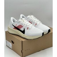 [Giày Chính Hãng] Giày Nike Pegasus Nam (full box)