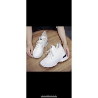 giầy chun thể thao