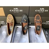 giày coach mọi