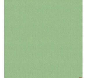 Giấy dán tường Albany 6813