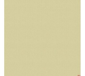 Giấy dán tường Albany 6813
