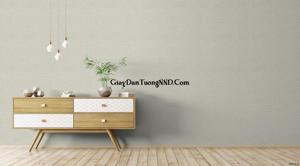 Giấy dán tường Base 3804