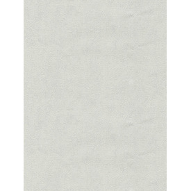 Giấy dán tường Dio 14195