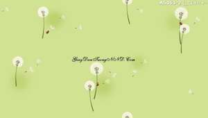 Giấy dán tường Dream World A5063