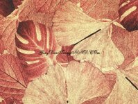 Giấy dán tường karaoke màu đỏ mã 93380