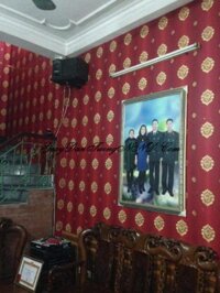 Giấy dán tường màu đỏ hoa văn cổ điển mã N0104