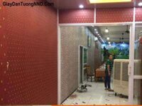 Giấy dán tường màu đỏ Italino Mã R7104