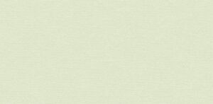 Giấy dán tường Stay 424