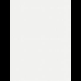 Giấy dán tường V-CONCEPT 7909