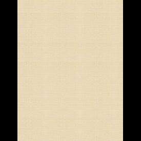 Giấy dán tường V-Concept 7910