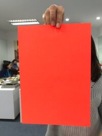 Giấy decal A4 màu đỏ dạ quang Fluorescent Colour Sticker Matte Paper
