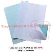 Giấy Decal đế XANH A3 THƯỜNG - giấy có keo dán