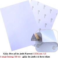Giấy Decal in ảnh Parrot 135Gsm A3 1 mặt bóng 50 tờ - giấy in ảnh có keo dán