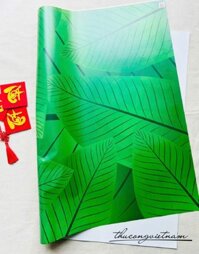 Giấy gói quà Tết 50x70cm – Lá Dong Xanh Sum Vầy