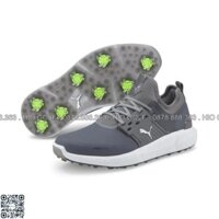 Giầy golf nam PUMA IGNITE Articulate đế đinh dây buộc – CH616