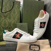 Giày  Gu cci Ong Vàng, Giày Thể Thao Gu cci Màu Trắng Nam Nữ Bản Cao Cấp Đủ Phụ Kiện