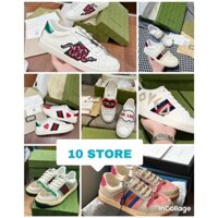 Giày gu chì ACE các mẫu full box hộp xanh tặng kèm box bảo vệ