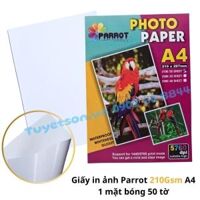 Giấy in ảnh Parrot 210Gsm A4 1 mặt bóng 50 tờ