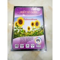 Giấy in Card 2 mặt A3 250gsm Mạnh Hưng (50 tờ) - in phun card visit định lượng 250 gsm