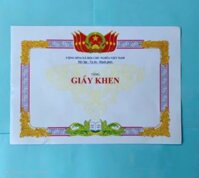 Giấy khen Định Lượng 100