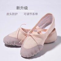 Giày Khiêu Vũ Người Lớn Bé Gái Đế Mềm Tập Giày Nam Trung Quốc Cơ Thể Mèo Vuốt Nhảy Múa Trẻ Em Giày Múa Ba Lê