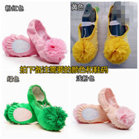 Giày Khiêu Vũ Trẻ Em Nam Nữ Đế Mềm Da Mũi Tập Giày Ba Lê Nghệ Thuật Kiểm Tra Giày Nhảy Múa Bé Gái Mèo Móng Vuốt Giày Người Lớn